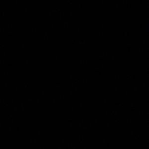 Meet your Posher, Alissa